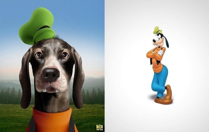 A digital artist from Italy showed how cartoon animals would look in reality A digital artist from Italy showed how cartoon animals would look in reality