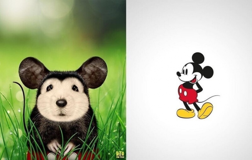 A digital artist from Italy showed how cartoon animals would look in reality A digital artist from Italy showed how cartoon animals would look in reality