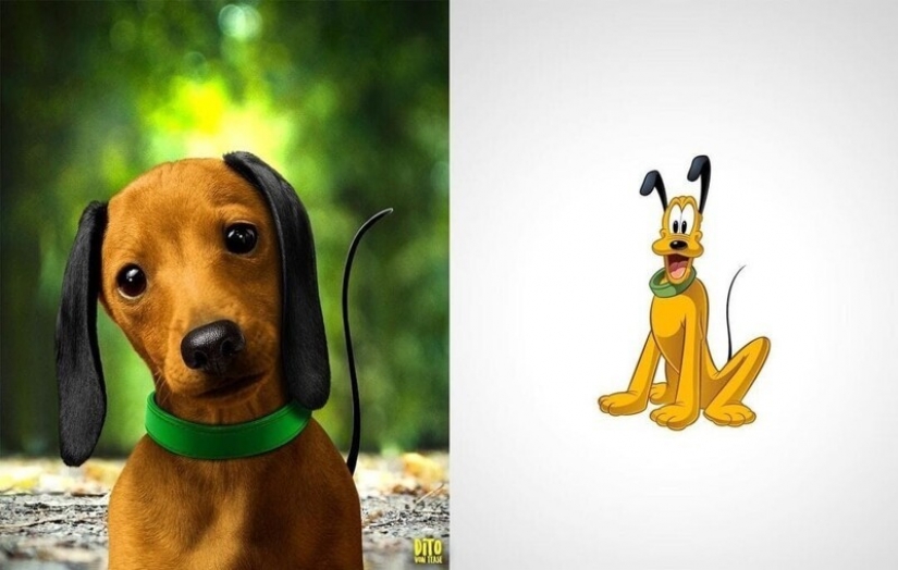 A digital artist from Italy showed how cartoon animals would look in reality A digital artist from Italy showed how cartoon animals would look in reality