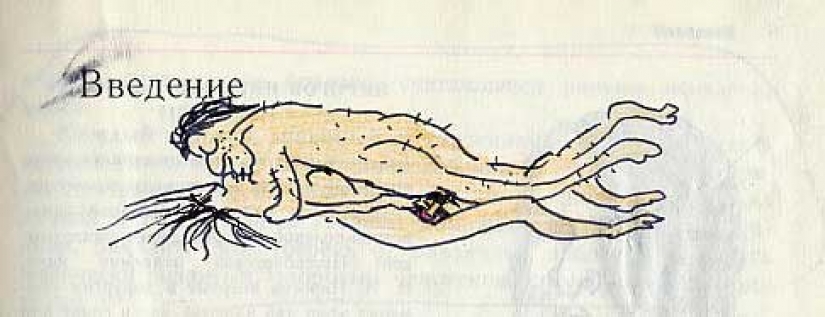 A funny painted biology textbook will take you back to the 9th grade