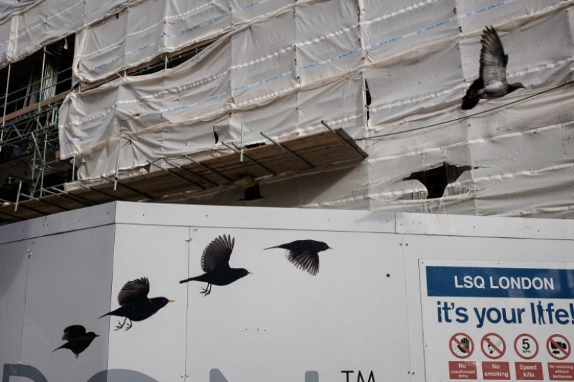 "A game of observation and imagination": how a street photographer from Spain struggles with boredom "A game of observation and imagination": how a street photographer from Spain struggles with boredom