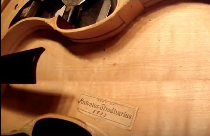 A Muscovite found a Stradivarius violin among his aunt's junk