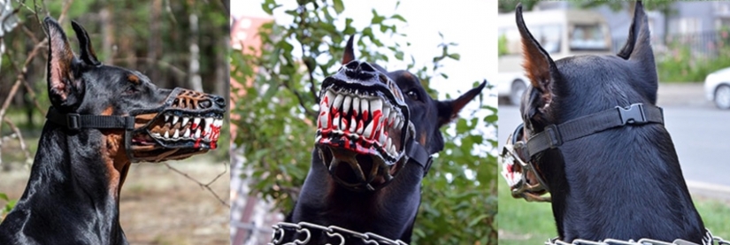 A muzzle that will turn the kindest dog into a bloodthirsty monster