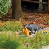 A naked German chased a wild boar and got into the photo. Now it is also a set of toys