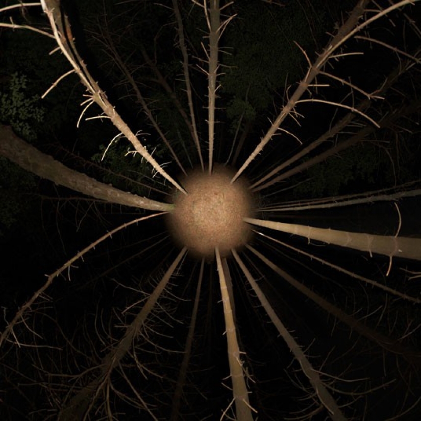 A new look at old places: surreal cities A new look at old places: surreal cities