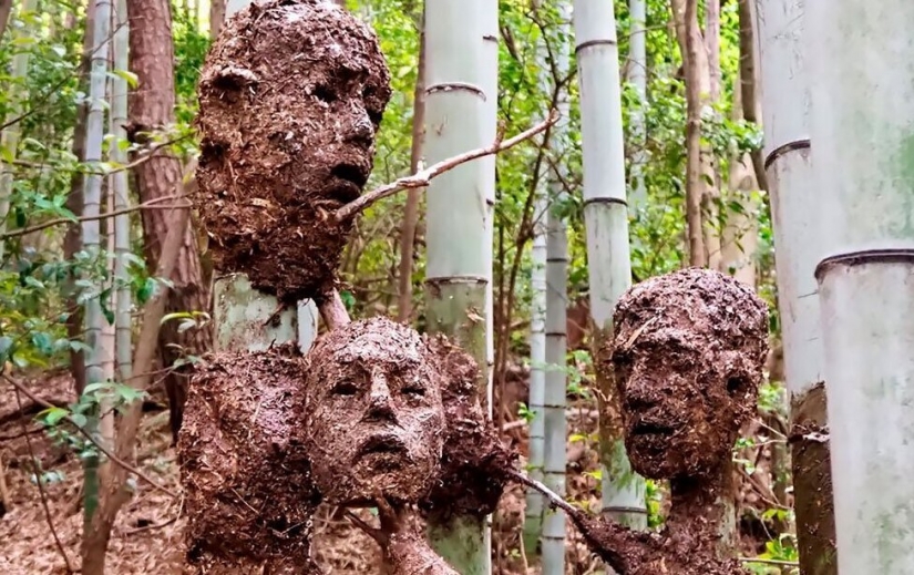 A student from Japan has created a creepy, but beautiful Forest of Despair