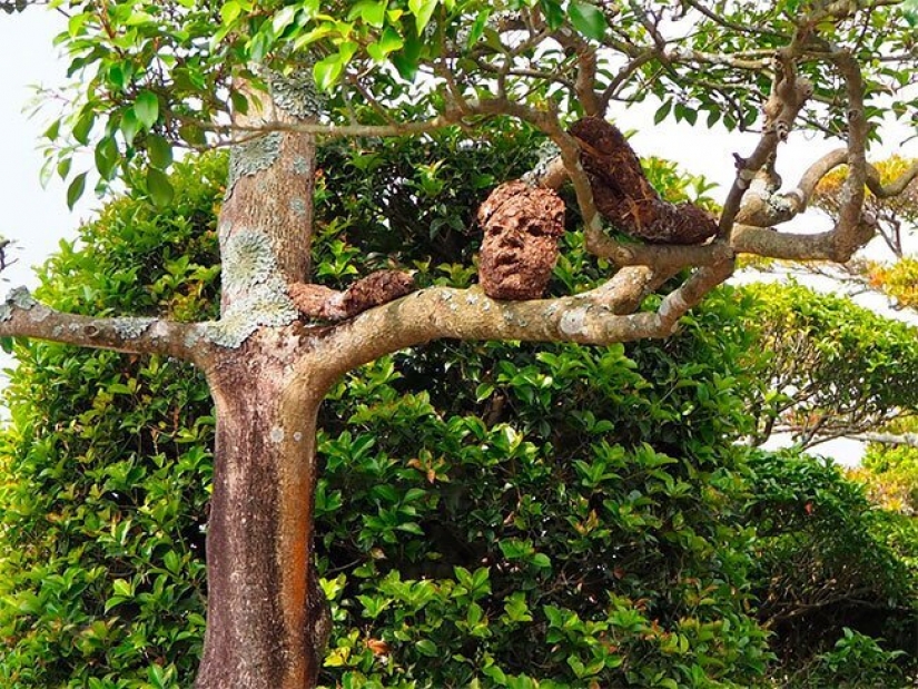 A student from Japan has created a creepy, but beautiful Forest of Despair