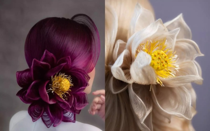 A talented hairdresser creates spectacular hairstyles in the form of flowers