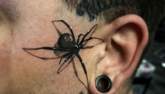 A tattoo artist from the USA impresses with a new trend-a 3D drawing of a poisonous spider