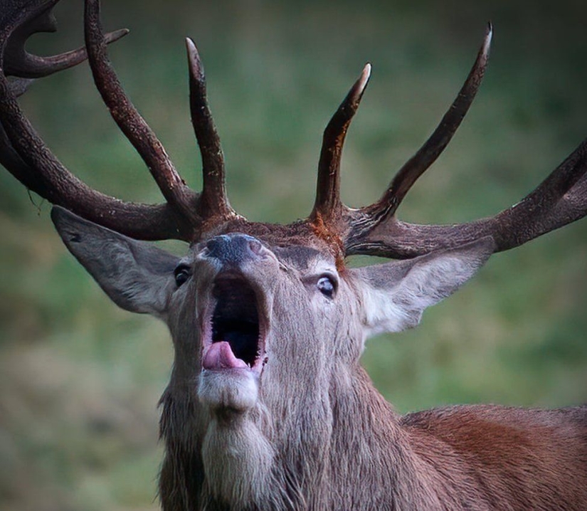 A wildlife photographer makes stunning shots during lunch break A wildlife photographer makes stunning shots during lunch break