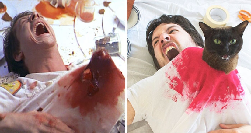 A young couple parodies iconic scenes from movies together with cats