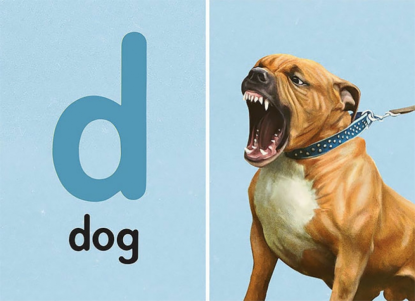 ABC book for adults: what is not taught in school