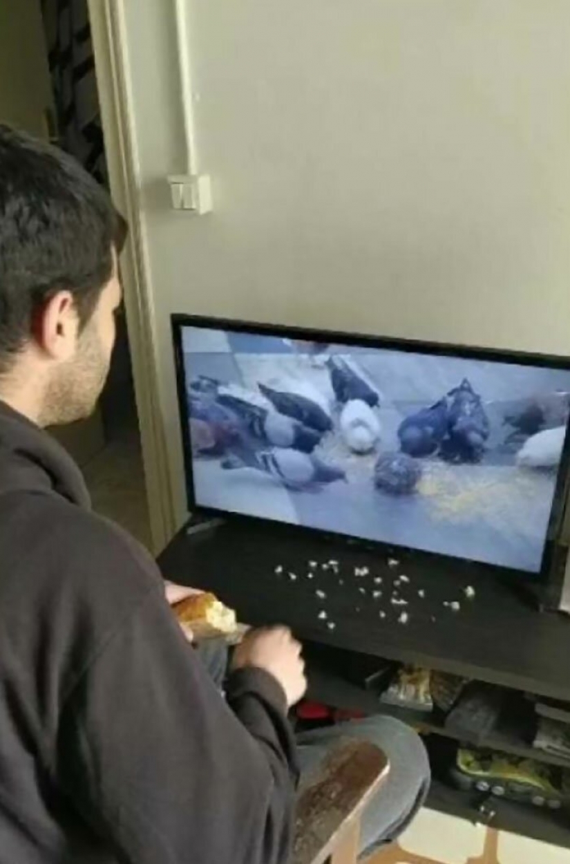 Aburrido de cuarentena: 25 únicas maneras de divertirse en el aislamiento