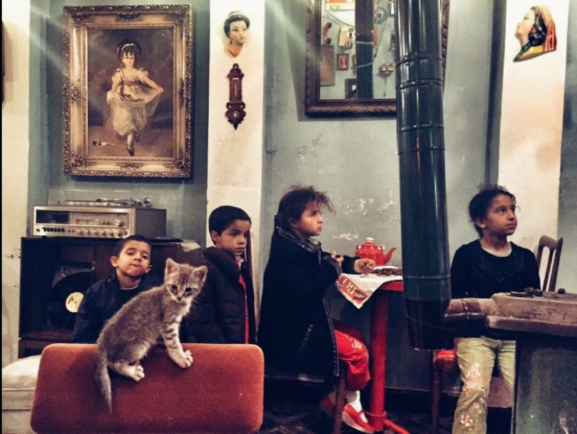 Accidental del Renacimiento: un enfoque moderno de los clásicos inmortales