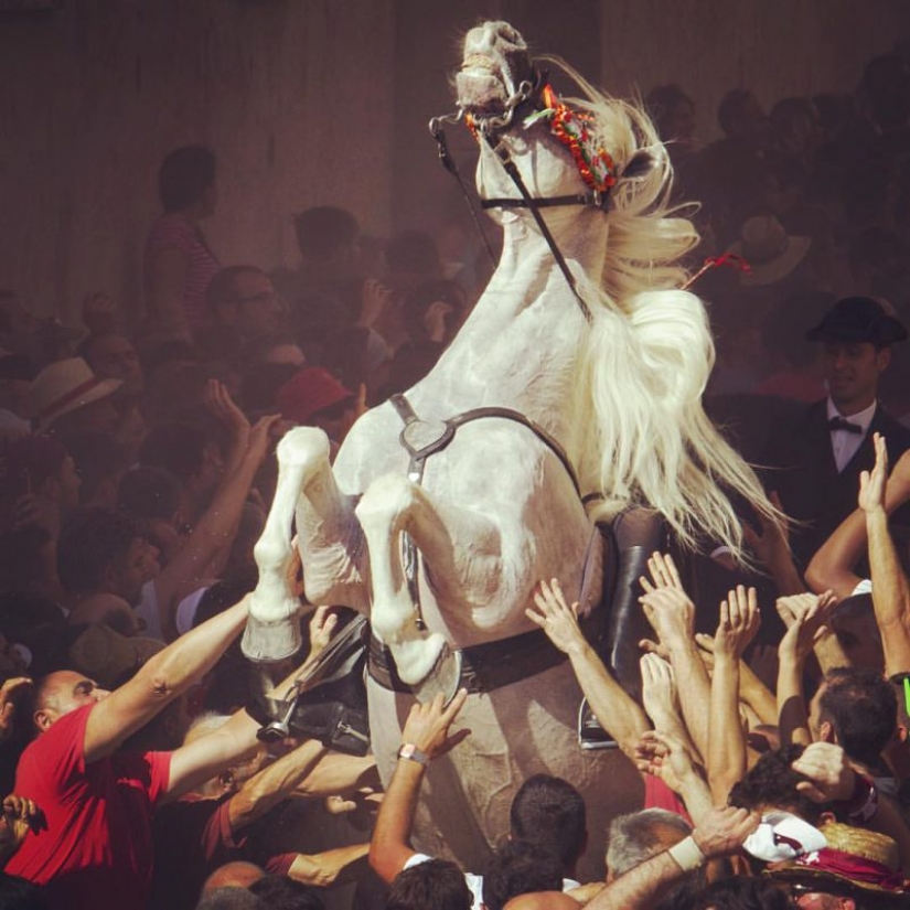 Accidental Renaissance: a modern approach to the immortal classics