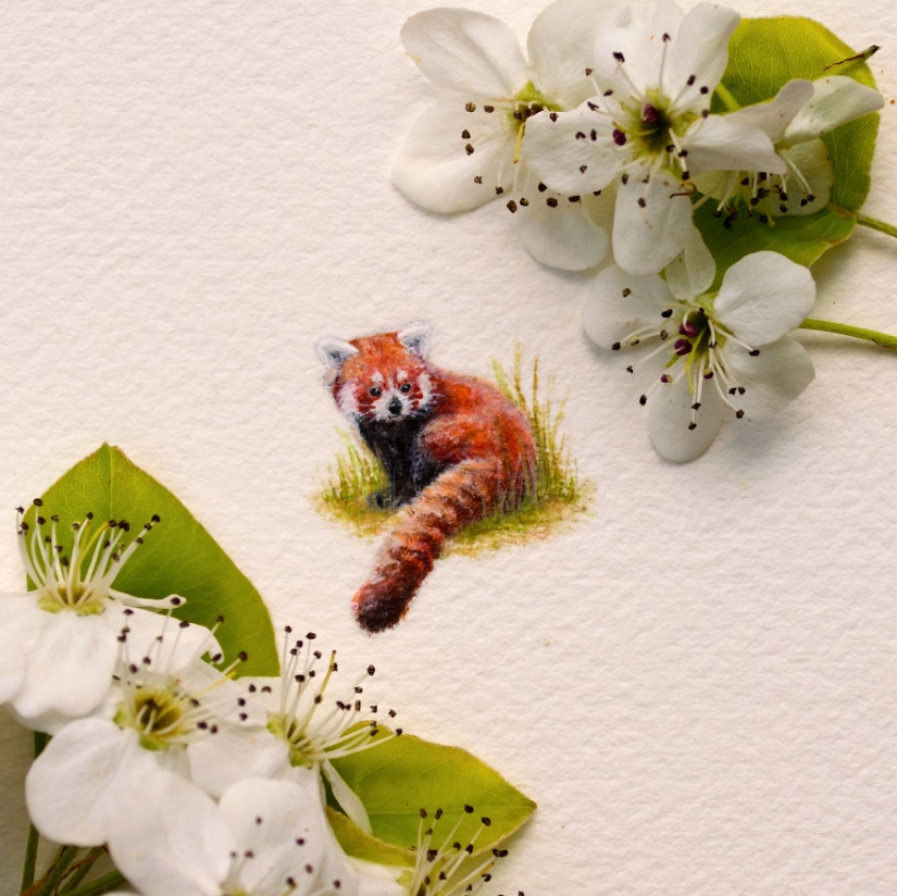 Acuarelas en miniatura Acuarelas en miniatura