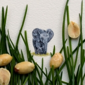 Acuarelas en miniatura