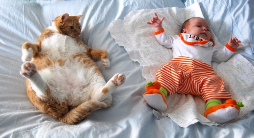 Adorable photos proving that your child needs a cat Adorable photos proving that your child needs a cat