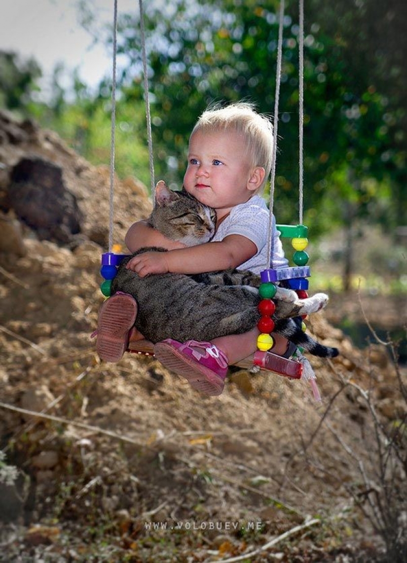 Adorable photos proving that your child needs a cat Adorable photos proving that your child needs a cat