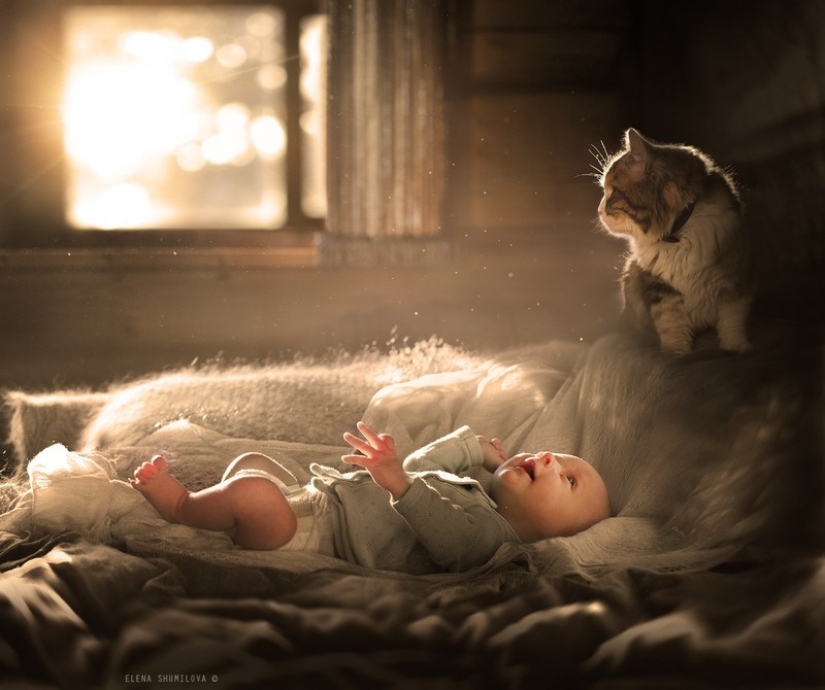 Adorable photos proving that your child needs a cat Adorable photos proving that your child needs a cat