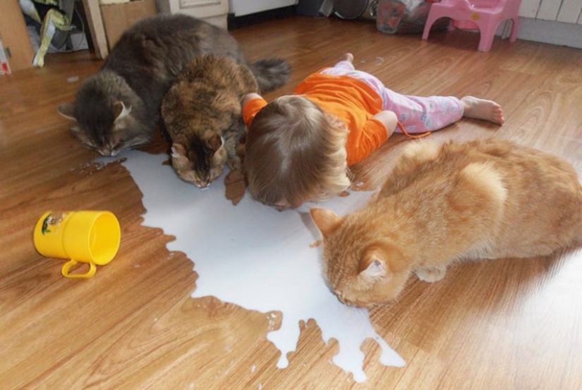 Adorable photos proving that your child needs a cat Adorable photos proving that your child needs a cat