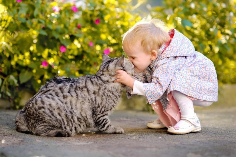 Adorable photos proving that your child needs a cat Adorable photos proving that your child needs a cat