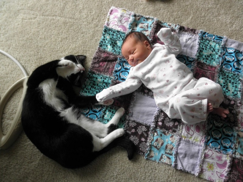 Adorable photos proving that your child needs a cat Adorable photos proving that your child needs a cat