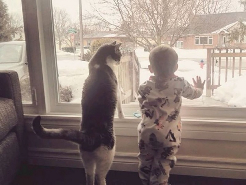 Adorable photos proving that your child needs a cat Adorable photos proving that your child needs a cat