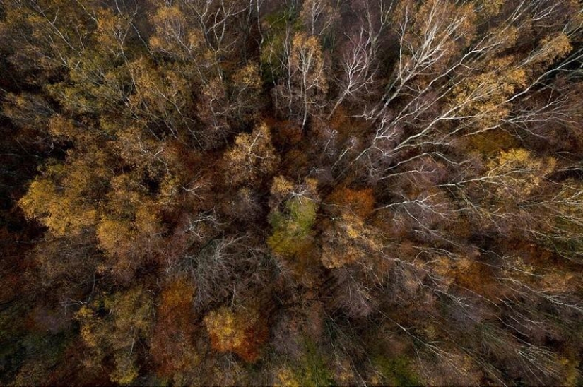 Aerial photographs by Kasper Kowalski