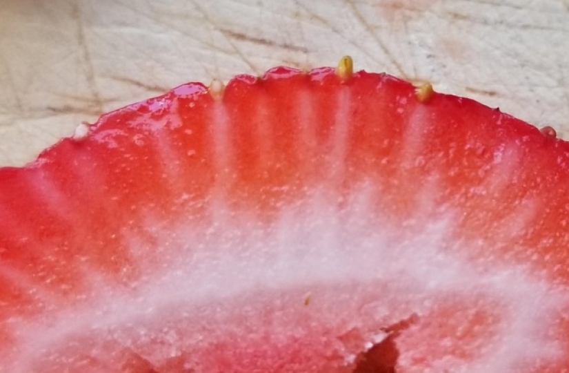 "Ahora lo he visto todo" : 25 fotos, después de ver que se puede decir con seguridad