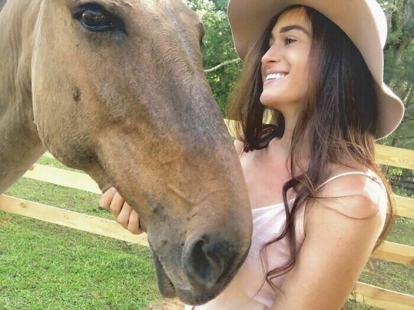 Ahorra vacas, llamas y serpientes: American había arreglado un refugio para 200 animales
