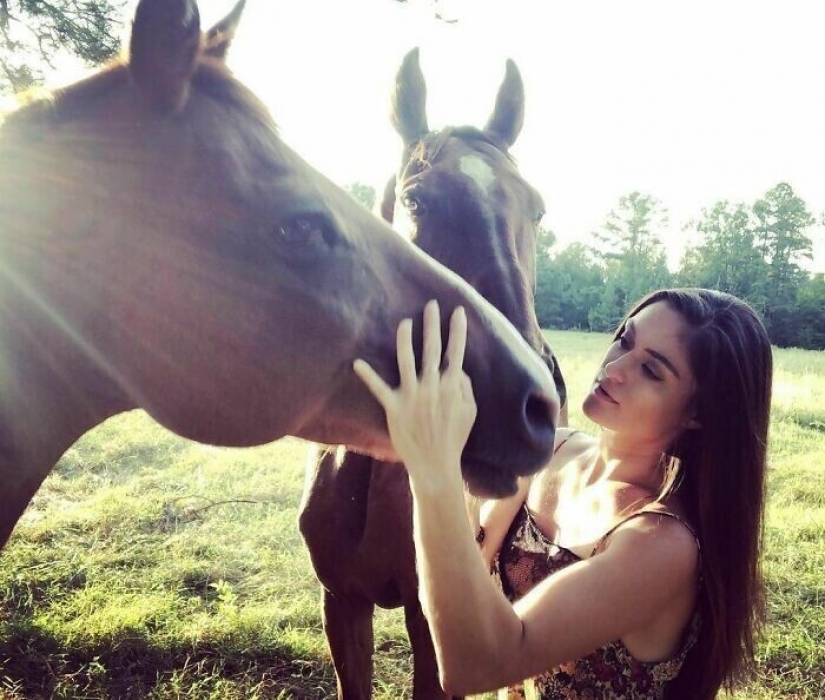 Ahorra vacas, llamas y serpientes: American había arreglado un refugio para 200 animales