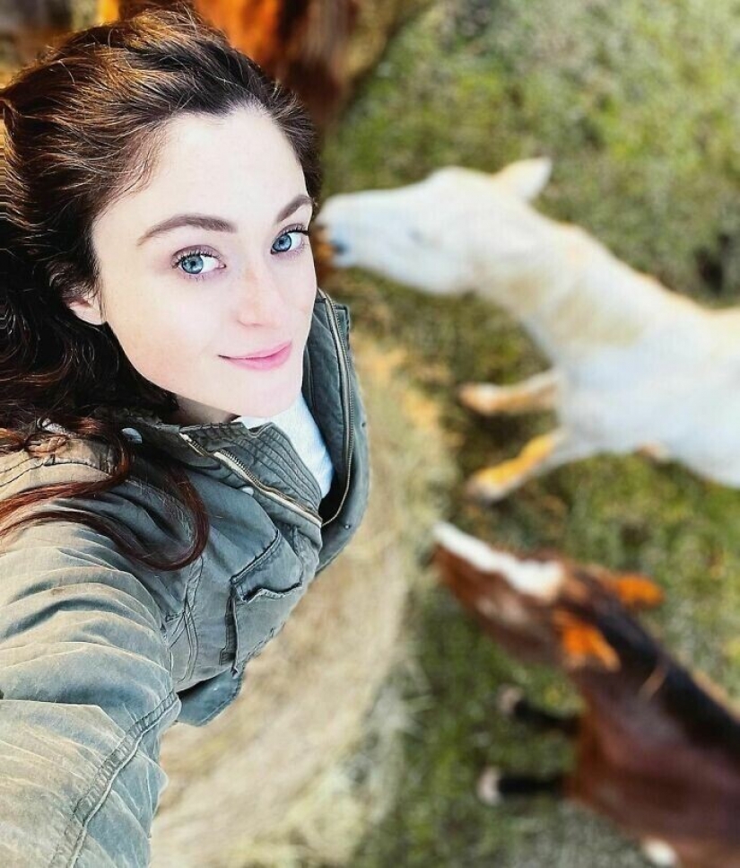 Ahorra vacas, llamas y serpientes: American había arreglado un refugio para 200 animales