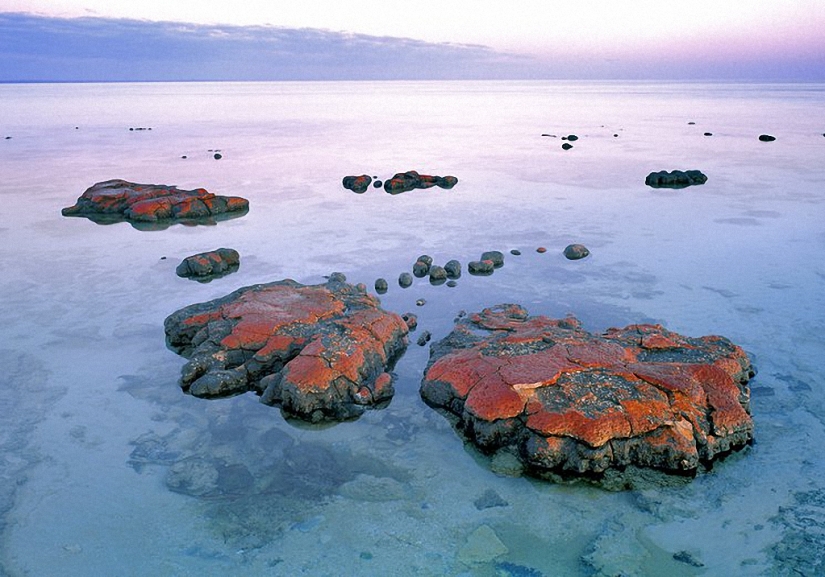 Alien landscapes on Earth