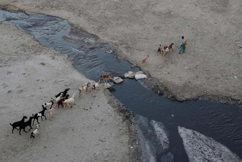 All colors of dirt: how Indians kill the sacred river Ganges