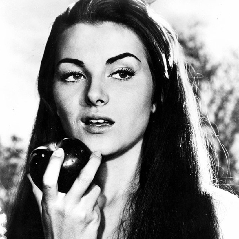 All Miss Universe winners: how beauty ideals have changed in 60 years