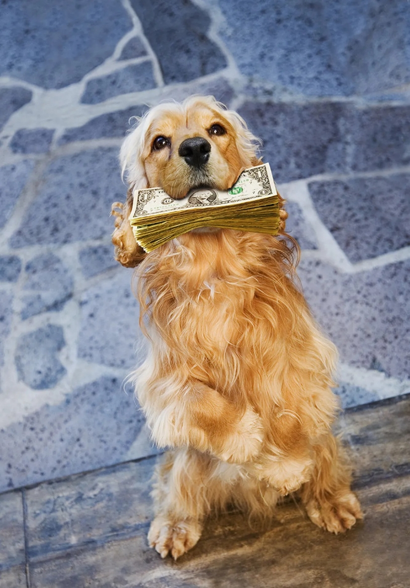 All the inheritance down the drain: the strangest items from the wills stars