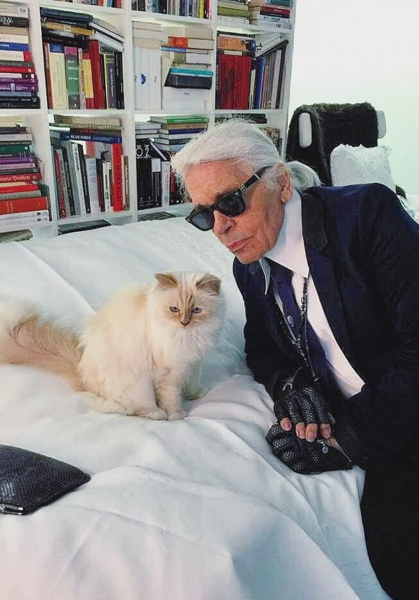 All the inheritance down the drain: the strangest items from the wills stars