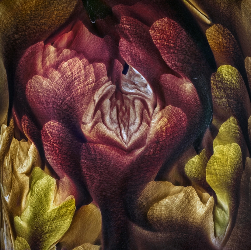 Amazing nature landscapes: 20 photos that remind us how beautiful our planet is Amazing nature landscapes: 20 photos that remind us how beautiful our planet is