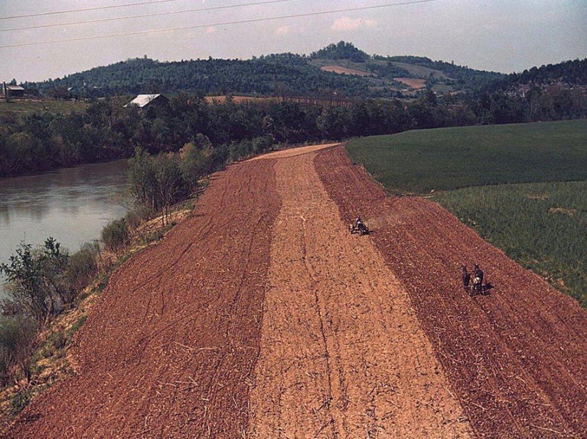 America during the First Economic Crisis