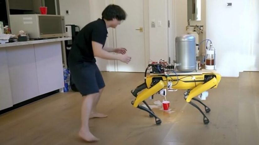 American blogger ha enseñado a un perro-robot para escribir la cerveza en un vaso American blogger ha enseñado a un perro-robot para escribir la cerveza en un vaso