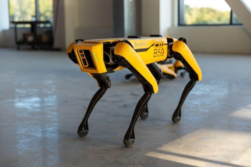 American blogger ha enseñado a un perro-robot para escribir la cerveza en un vaso American blogger ha enseñado a un perro-robot para escribir la cerveza en un vaso
