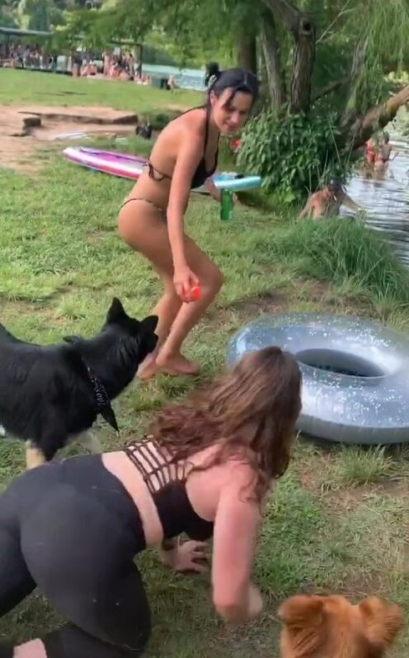 American woman quit her job and started impersonating a dog for money on OnlyFans