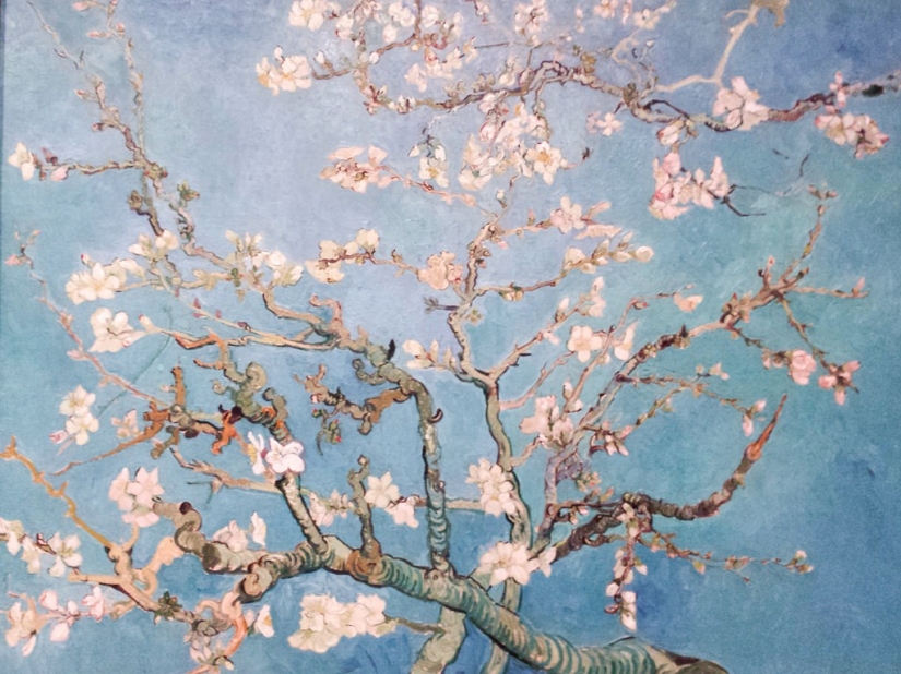 Amsterdam en las figuras y fotos Amsterdam en las figuras y fotos