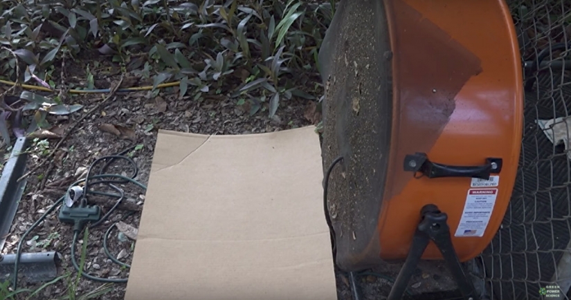 An American kills 4 thousand mosquitoes every night, using his dog as bait