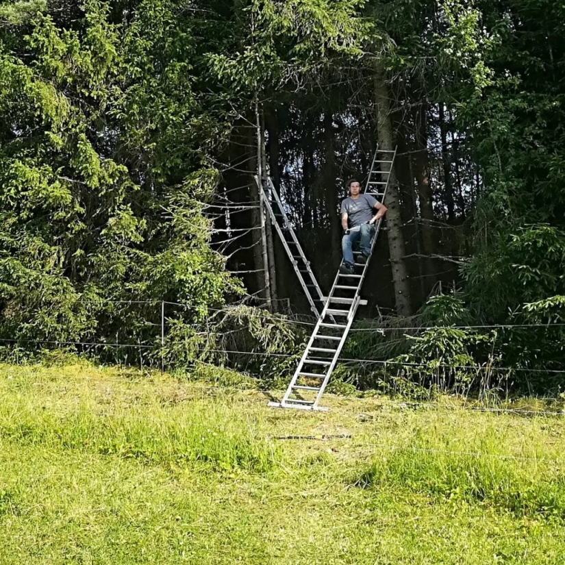 An ideal hole appeared in the forest thicket near an Estonian village and puzzled netizens