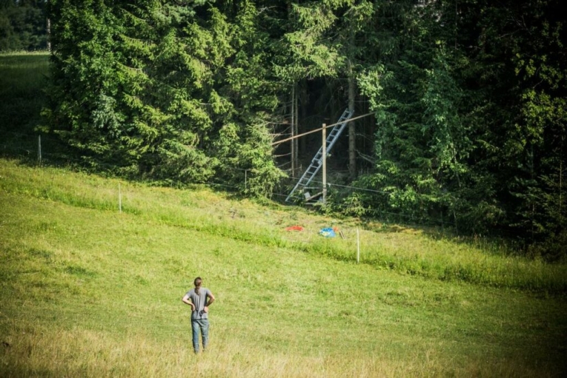 An ideal hole appeared in the forest thicket near an Estonian village and puzzled netizens