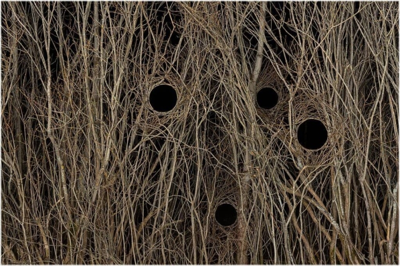 An ideal hole appeared in the forest thicket near an Estonian village and puzzled netizens