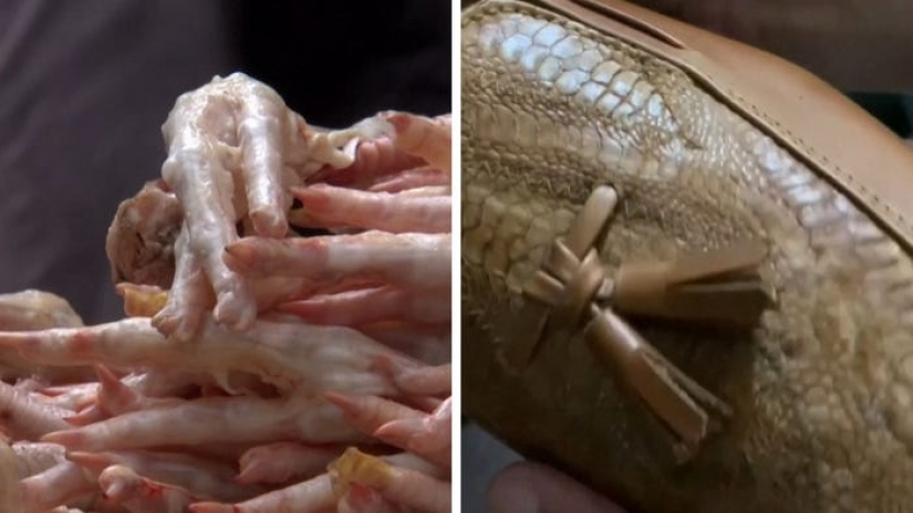 An Indonesian entrepreneur makes leather boots from leftover chicken legs