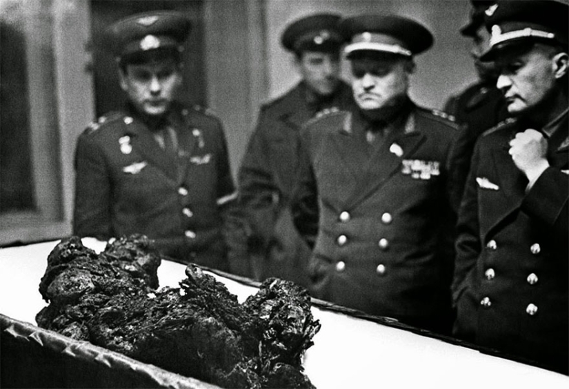 Archive photos that captured rare historical moments